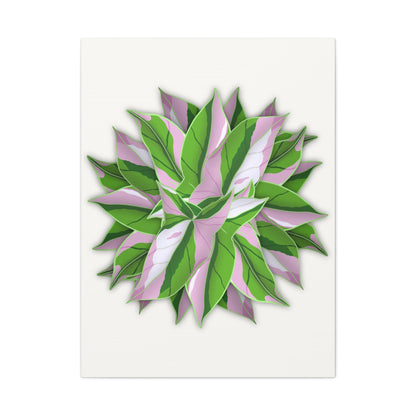 Syngonium Tricolor Pattern Canvas Print – Botanical Wall Art