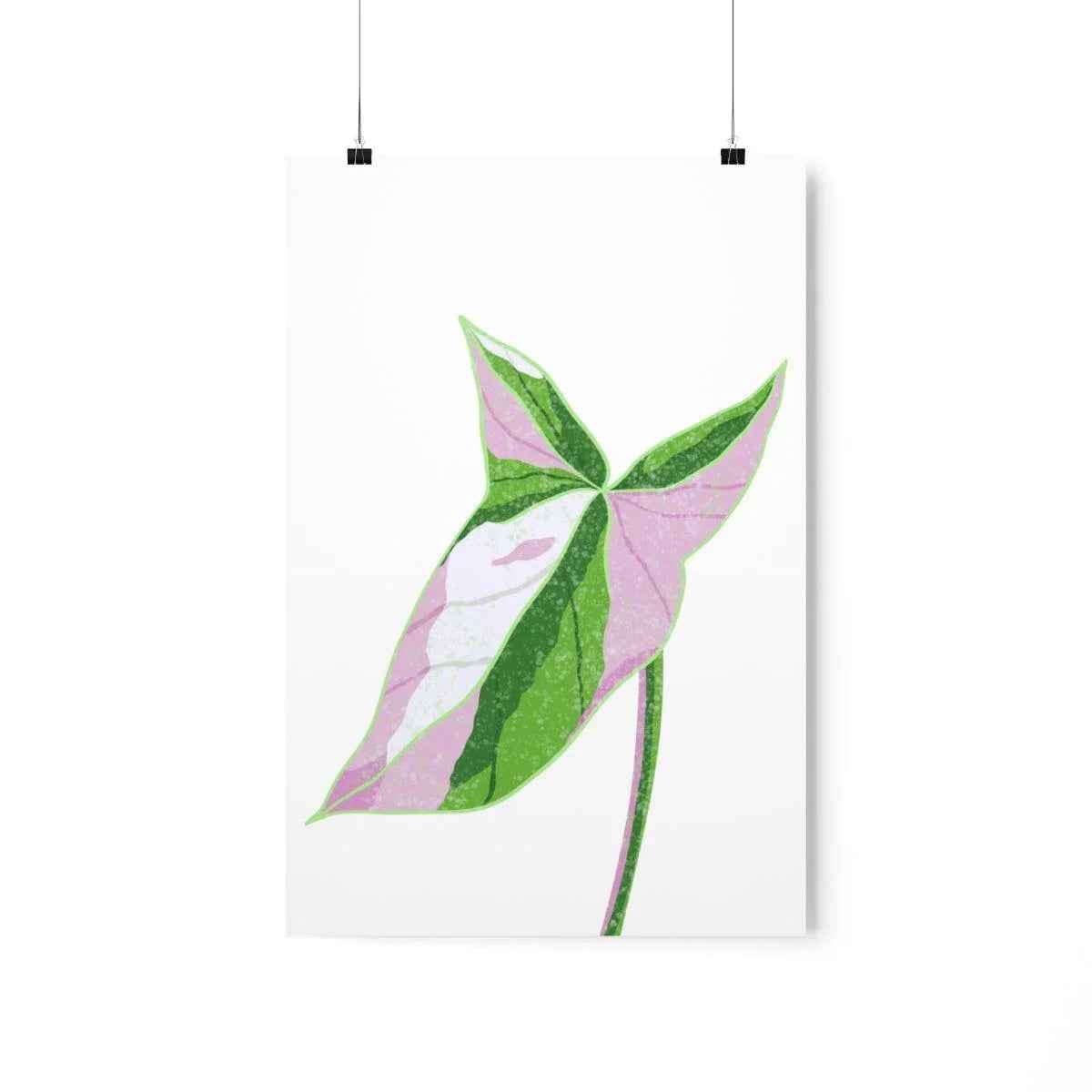 Syngonium Tricolor Botanical Print – Unframed Wall Art