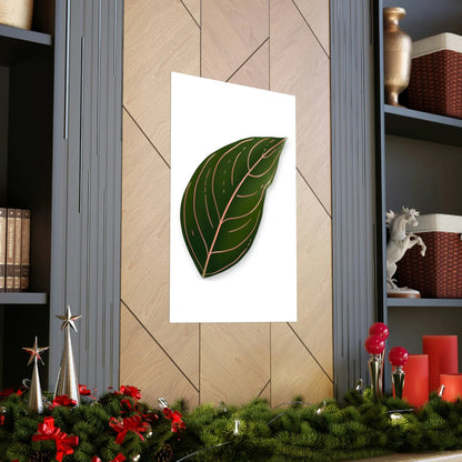 Aglaonema Rotundum Botanical Print – Unframed Wall Art
