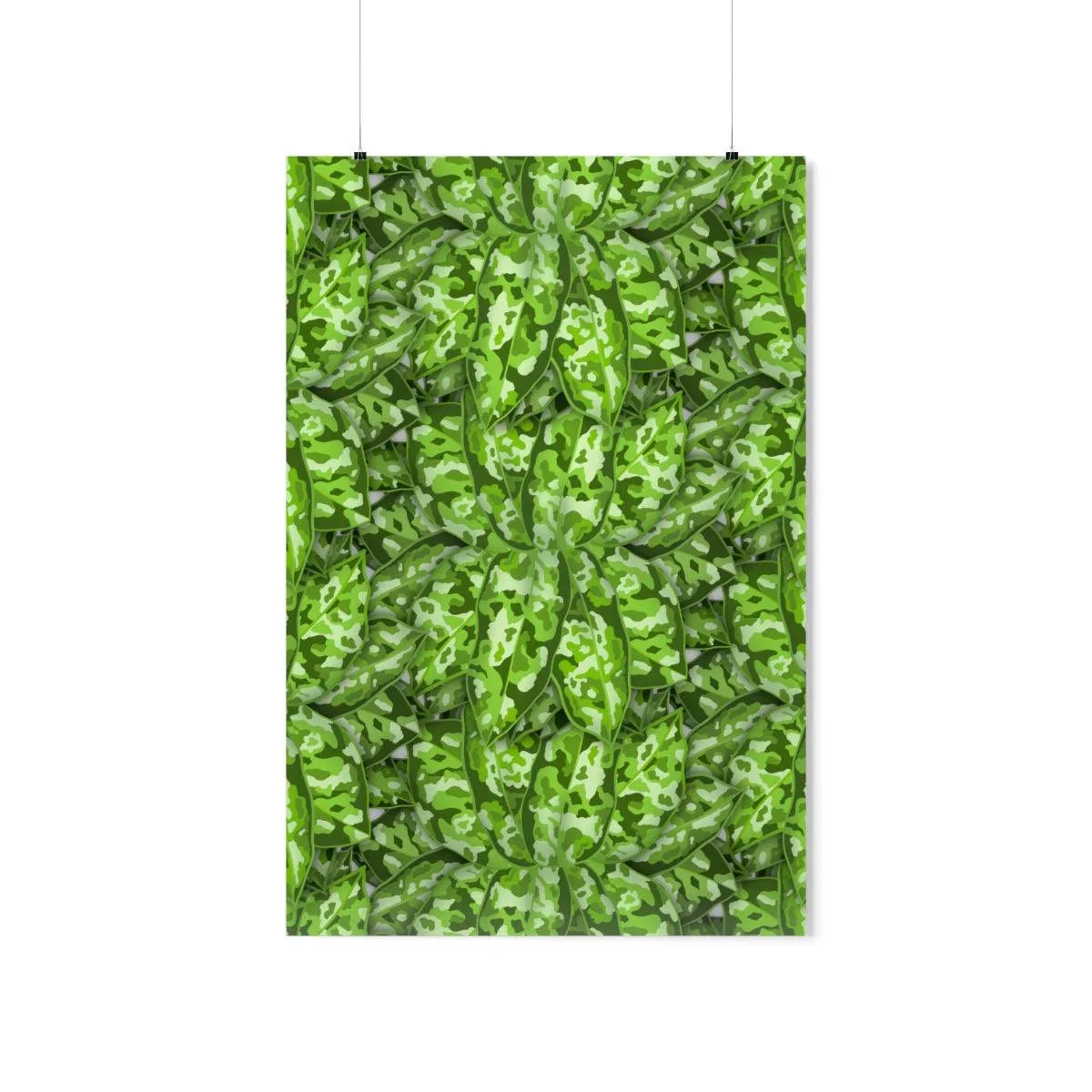 Aglaonema Pictum Botanical Print – Unframed Wall Art