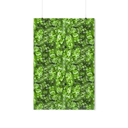 Aglaonema Pictum Botanical Print – Unframed Wall Art