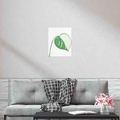 Monstera Albo Botanical Print – Unframed Wall Art