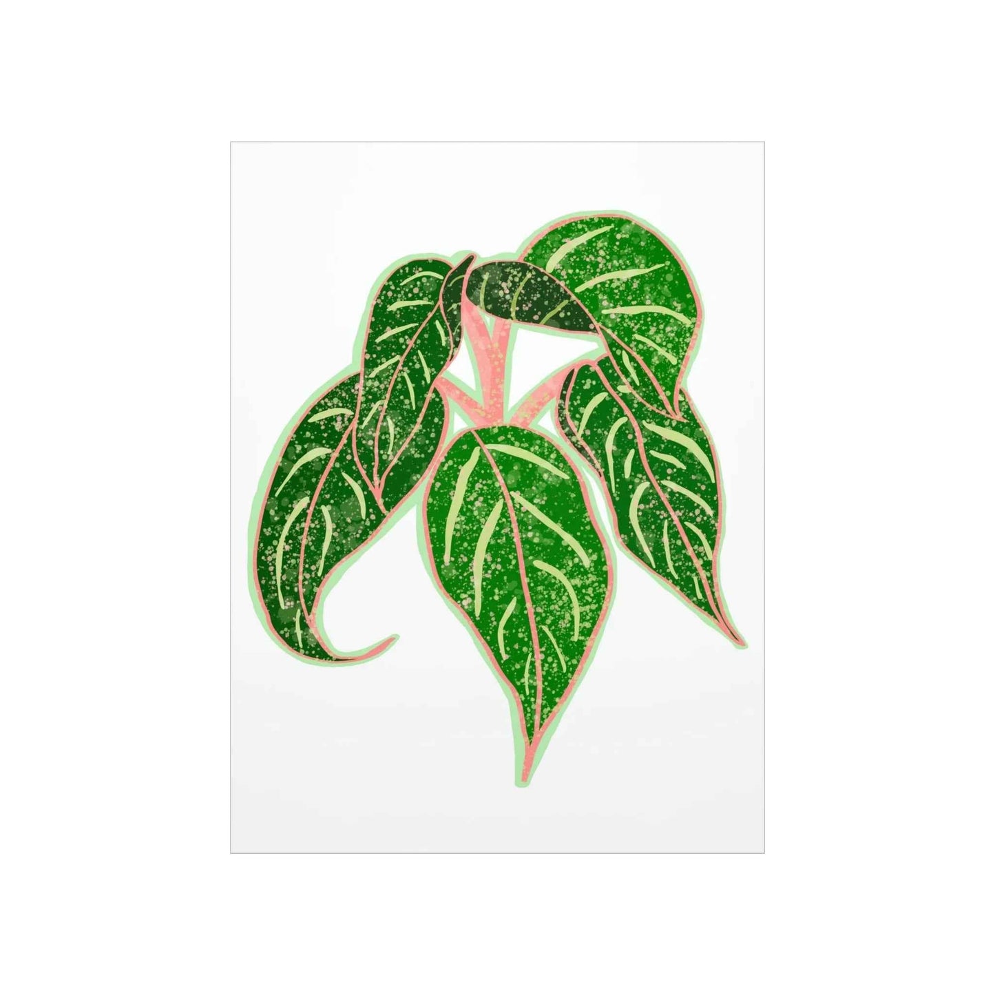 Aglaonema Sparkling Sarah Botanical Print – Unframed Wall Art
