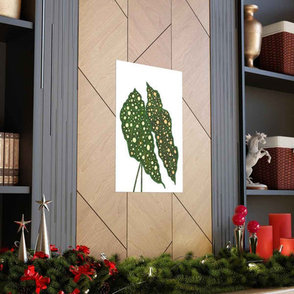 Begonia Maculata Botanical Print – Unframed Wall Art