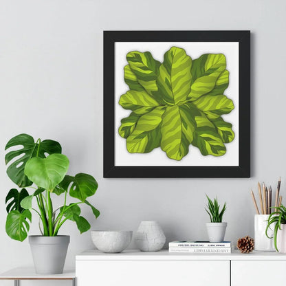 Calathea Yellow Fusion Framed Print – Botanical Wall Art