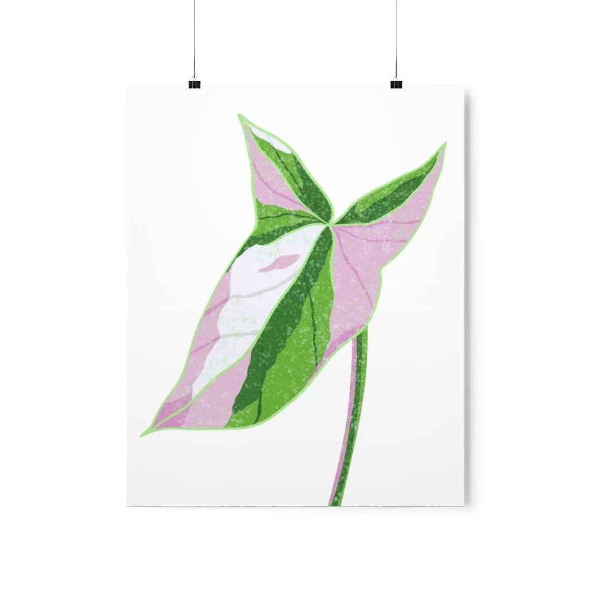 Syngonium Tricolor Botanical Print – Unframed Wall Art