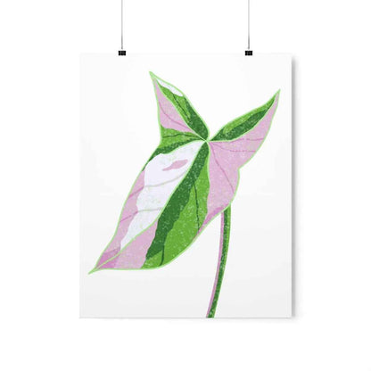 Syngonium Tricolor Botanical Print – Unframed Wall Art