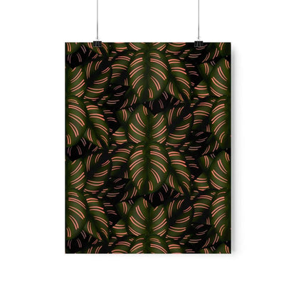 Calathea Pinstripe Botanical Print – Unframed Wall Art