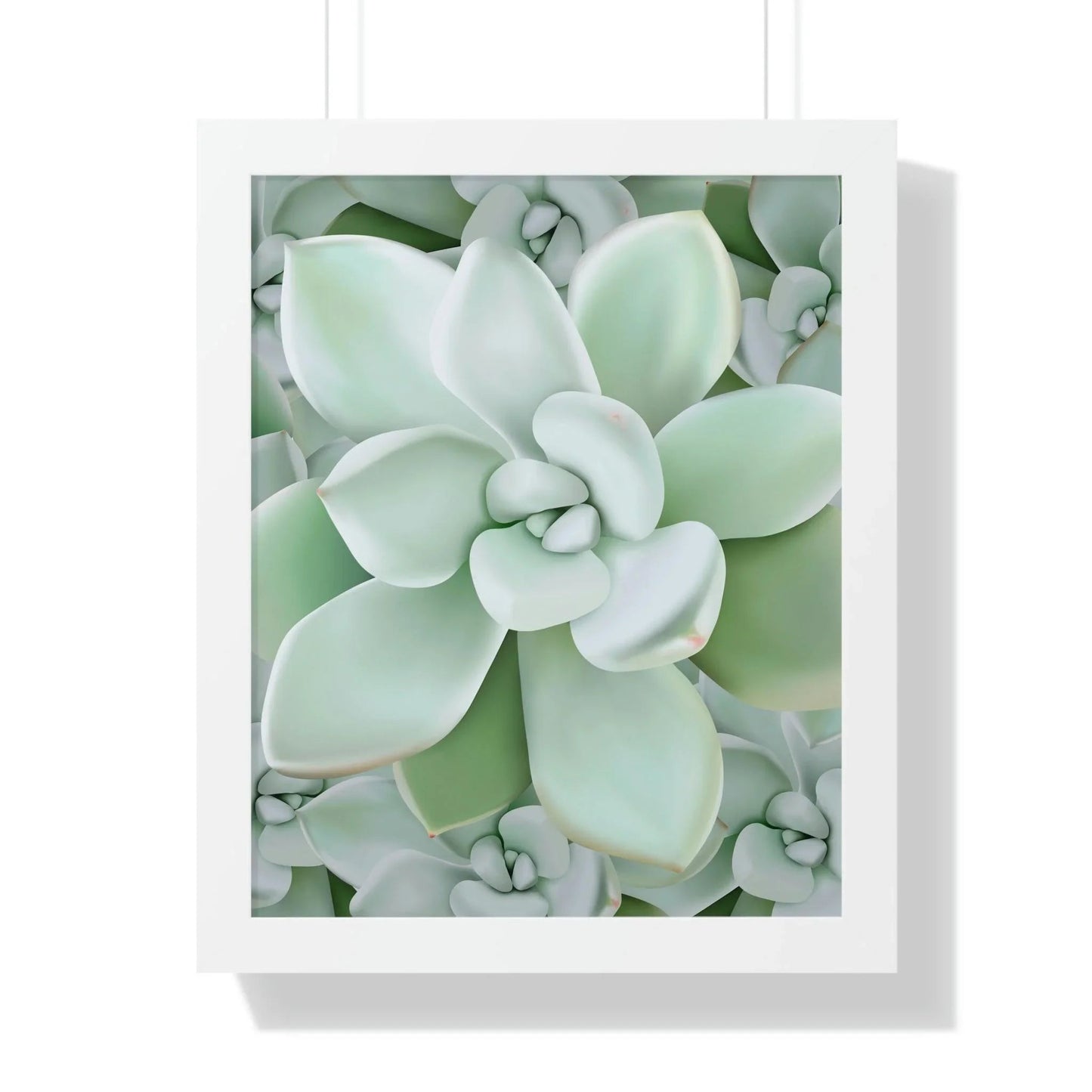 Pachyveria Haagei Succulent Pattern Framed Print – Botanical Wall Art