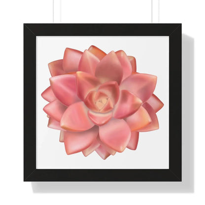 Graptosedum California Sunset Succulent Framed Print – Botanical Wall Art
