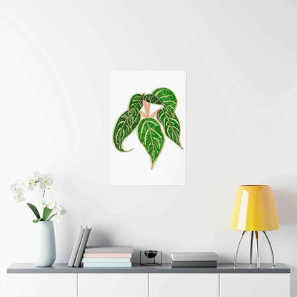 Aglaonema Sparkling Sarah Botanical Print – Unframed Wall Art