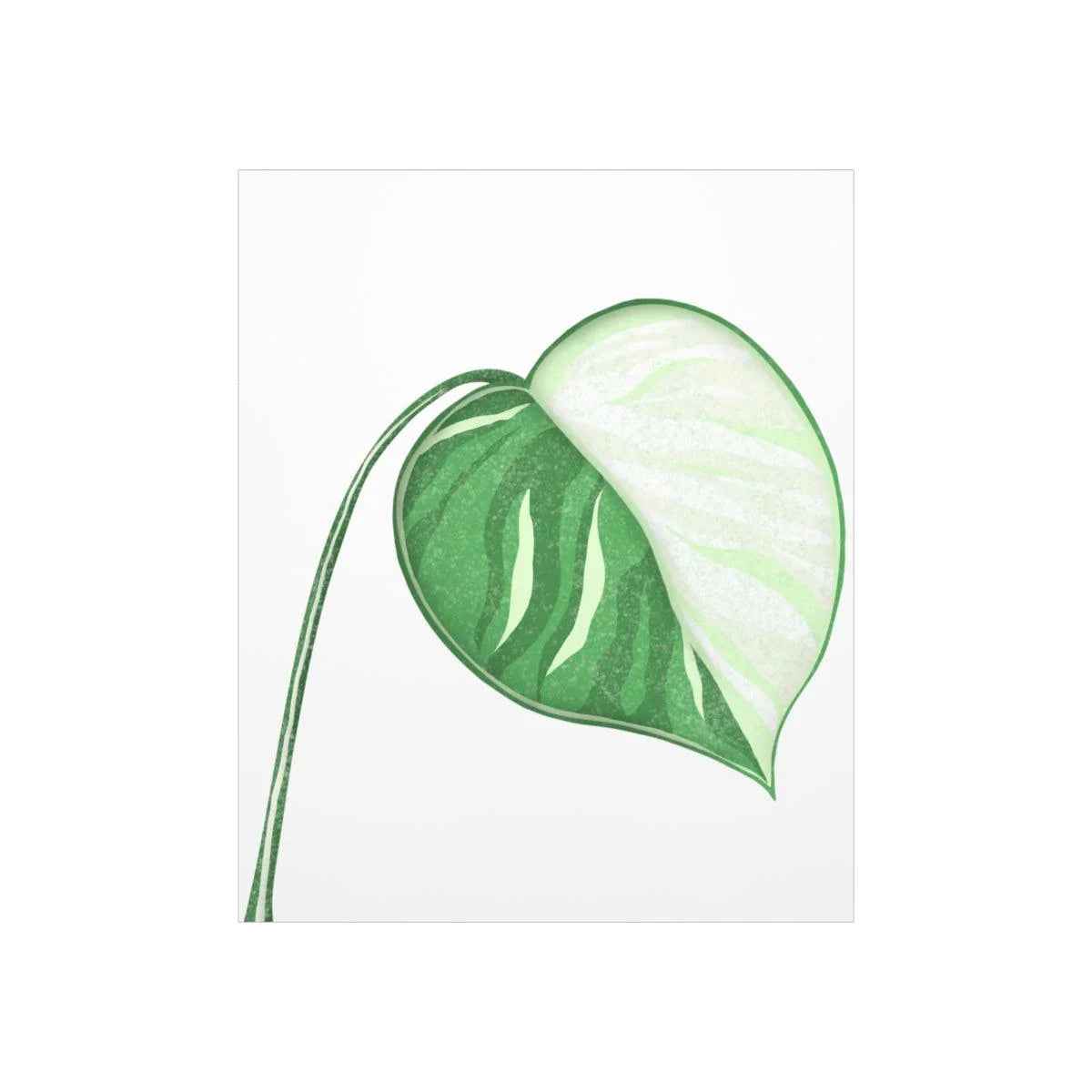 Monstera Albo Botanical Print – Unframed Wall Art