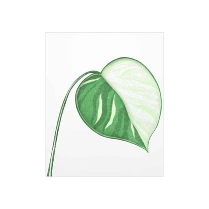 Monstera Albo Botanical Print – Unframed Wall Art