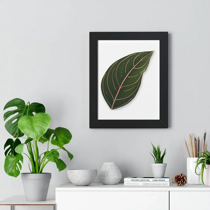 Aglaonema Rotundum Framed Print – Botanical Wall Art