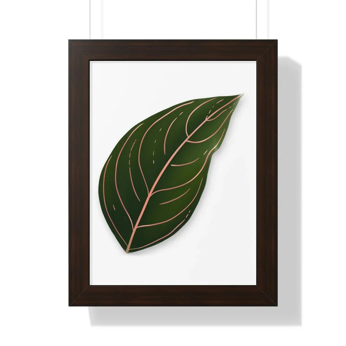 Aglaonema Rotundum Framed Print – Botanical Wall Art