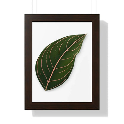 Aglaonema Rotundum Framed Print – Botanical Wall Art
