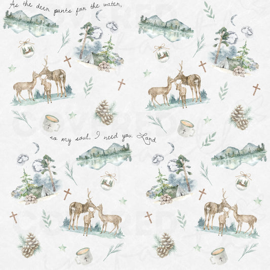My Soul Longs Minky Blanket