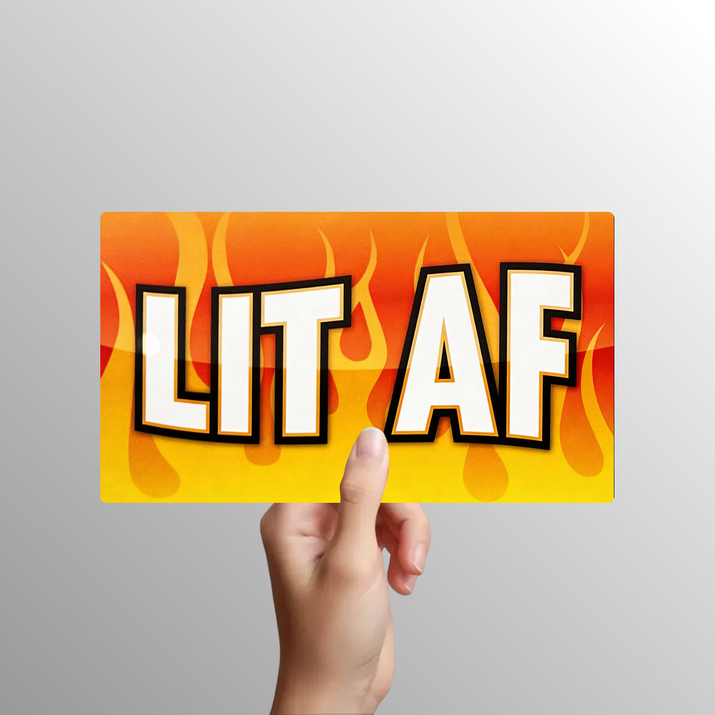 Funny Party Photo Booth Props - 6 Double-Sided PVC Signs