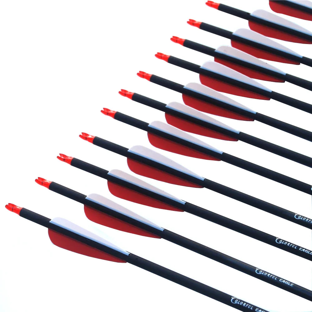 New Spine 500 Carbon Arrow With Replaceable Arrowhead 28"/30"/31"Length Archery for Compound/Recurve Bow Hunting
