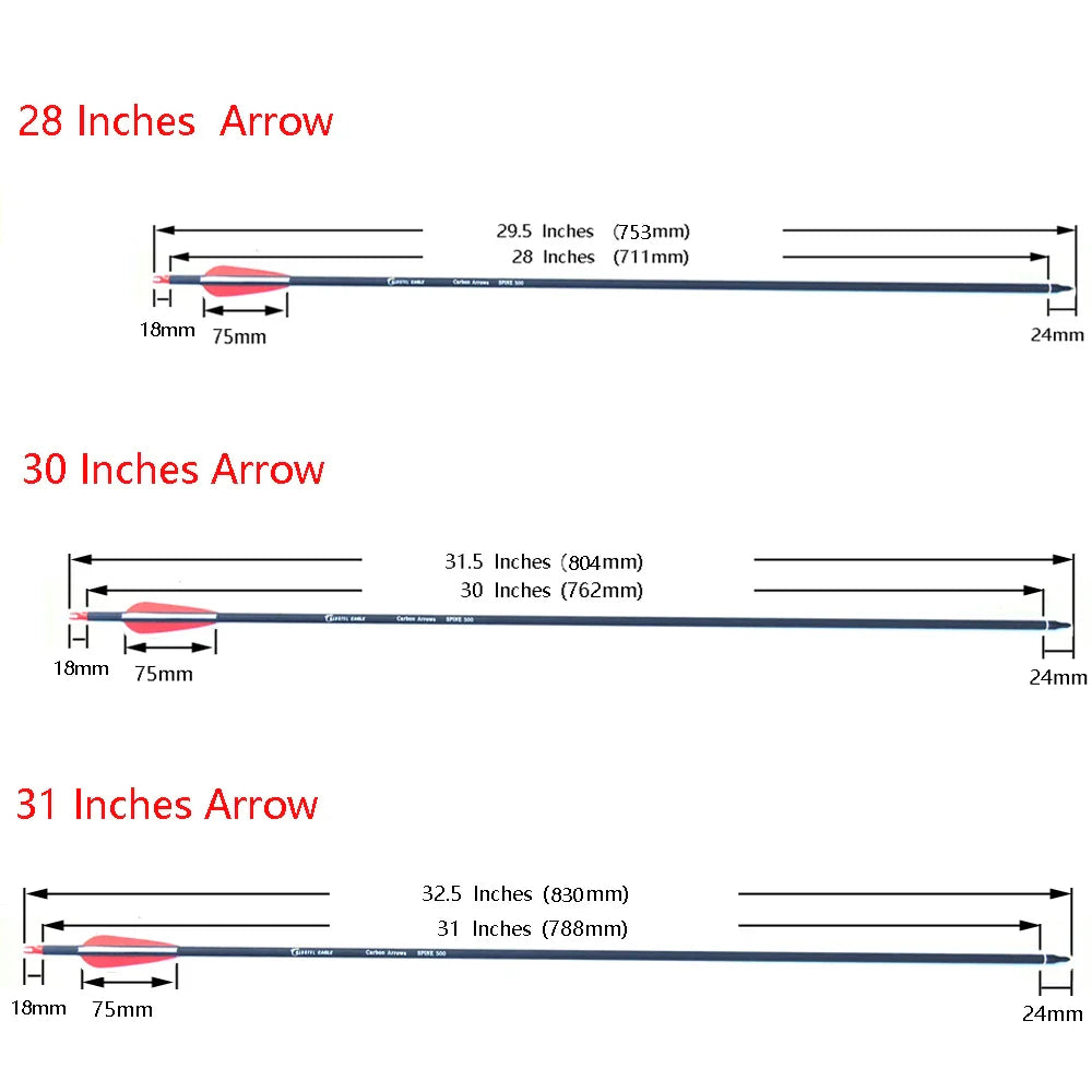 New Spine 500 Carbon Arrow With Replaceable Arrowhead 28"/30"/31"Length Archery for Compound/Recurve Bow Hunting