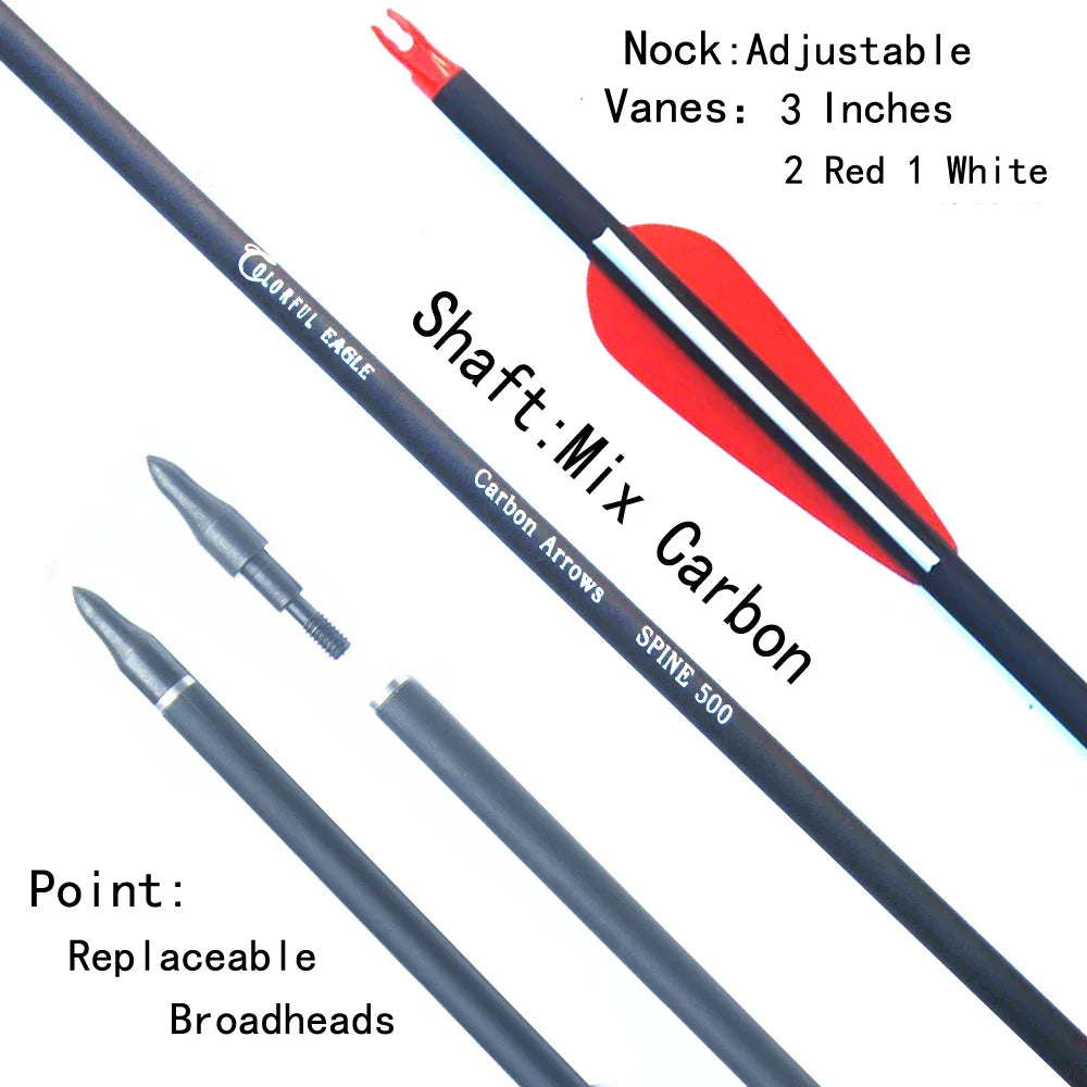 New Spine 500 Carbon Arrow With Replaceable Arrowhead 28"/30"/31"Length Archery for Compound/Recurve Bow Hunting