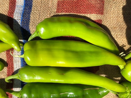 FRESH GREEN CHILE 2026 HARVEST PRE-ORDERS START JUNE 1ST = SAVE 10% OFF = HARVEST BEGINS AUGUST 2026