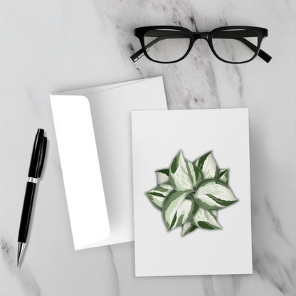 Manjula Pothos Greeting Card – Blank Inside With Envelope