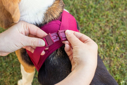 Curli Air Mesh Clasp Moss Vest Harness