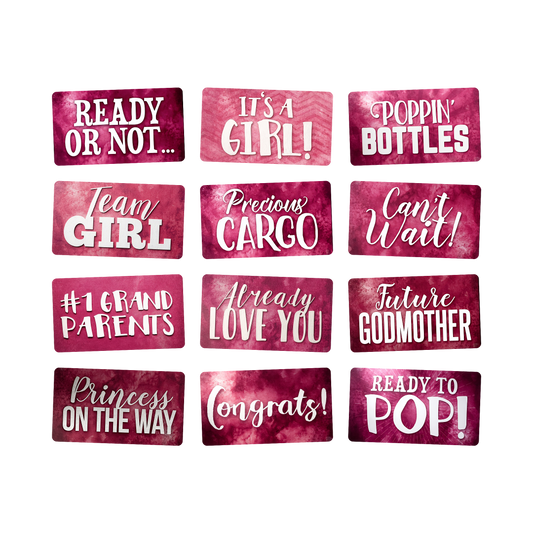 It's a Girl Photo Booth Props - 6 Double-Sided PVC Signs