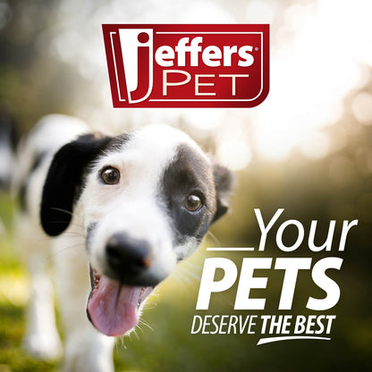 Jeffers Red "Y" Natural Rubber Dental Dog Chew Toy for Medium Chewers