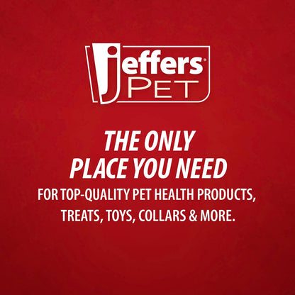 Jeffers Cactus Natural Rubber Dental Chew Toy for Dogs for Healthy Chewing Habits