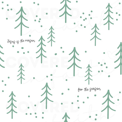 Jesus is the Reason for the Season Minky Blanket