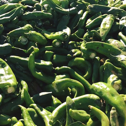 FRESH GREEN CHILE 2026 HARVEST PRE-ORDERS START JUNE 1ST = SAVE 10% OFF = HARVEST BEGINS AUGUST 2026