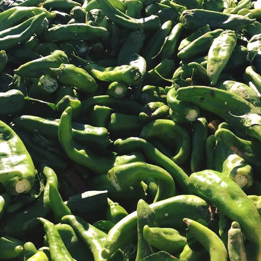 FRESH GREEN CHILE 2026 HARVEST PRE-ORDERS START JUNE 1ST = SAVE 10% OFF = HARVEST BEGINS AUGUST 2026