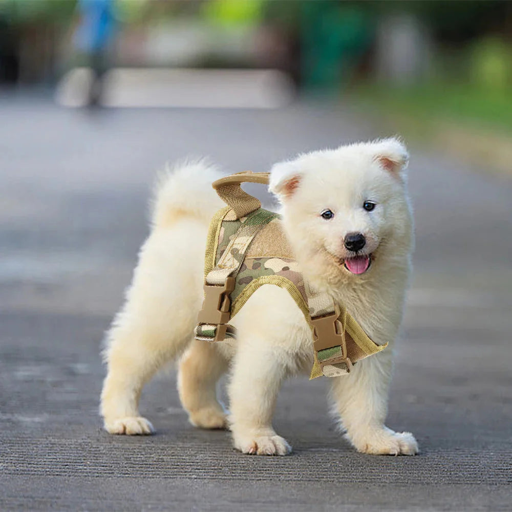 Tactical Cat Harness Adjustable Puppy Vest For Military Small Dogs Harnesses withControl Handle Walking Training Cat Accessories