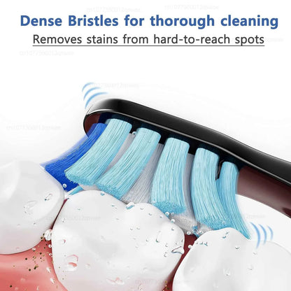 Sonic Electric Toothbrush for Adults Electronic Tooth Brush With Timer Rechargeable Electric Toothbrush with 8 Brush Heads