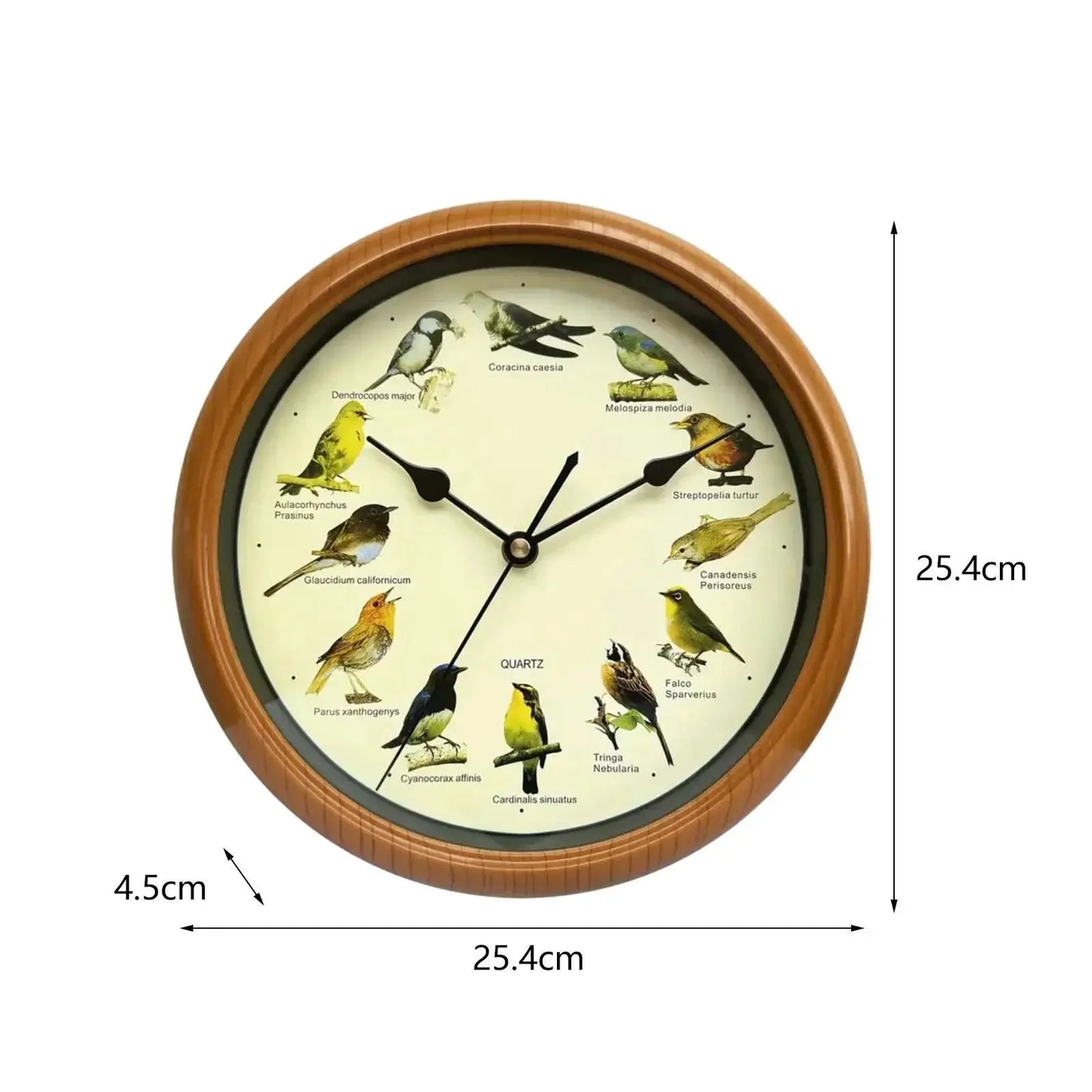 Wall Hanging Clock Decor Singing Bird Wall Clock Bird Clock With Sound Hanging Clock Decor for Kitchen Walls Shelf Decoration