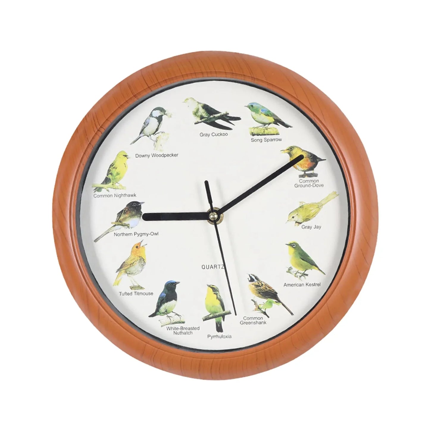 Wall Hanging Clock Decor Singing Bird Wall Clock Bird Clock With Sound Hanging Clock Decor for Kitchen Walls Shelf Decoration