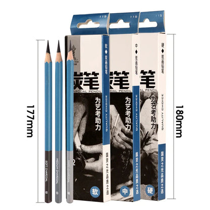 Master Specialized Sketch Charcoal,Hard, Neutral, Soft Refills,Drawing Pencils,Art Student Fine Arts Supplies 12 pcs Box TB-01