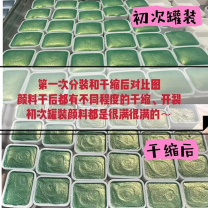 Master Grade 16 Colors Pearlescent Solid Watercolor Paint Mineral Nail Art Flower Painting Dyeing Tool Thangka ES
