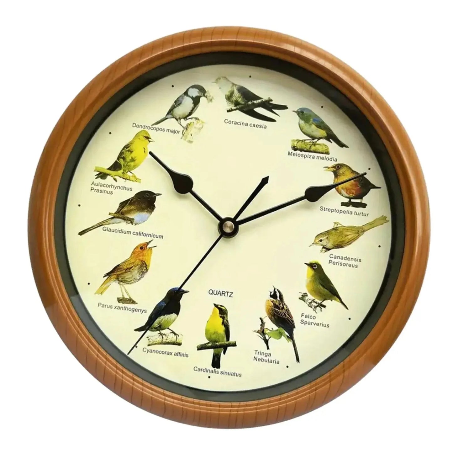 Wall Hanging Clock Decor Singing Bird Wall Clock Bird Clock With Sound Hanging Clock Decor for Kitchen Walls Shelf Decoration