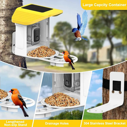 Bird Feeder AI Identify For 10000 Plus Birds Species Automatic Pet Feeder With Camera Real-time Monitor Bird Feeder With Camera