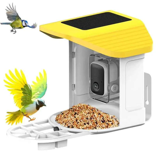 Bird Feeder AI Identify For 10000 Plus Birds Species Automatic Pet Feeder With Camera Real-time Monitor Bird Feeder With Camera
