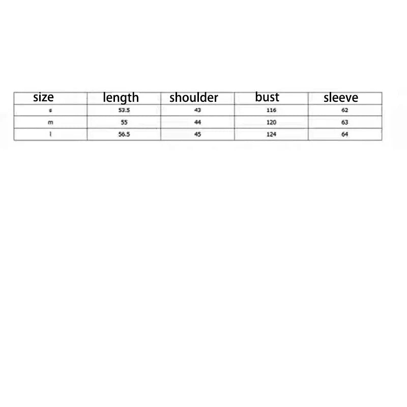 Checkered shirt women's 2024 spring new design sense niche French chic long sleeved shirt  retro top  womens tops