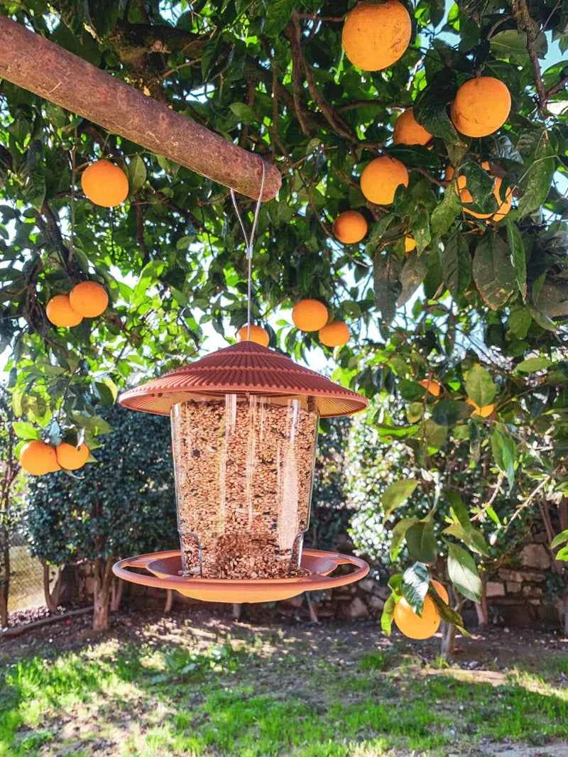 Outdoor Bird Feeding House Waterproof Gazebo Hanging Wild Bird Feeder Cage Outdoor Container With Hang Rope Bird Feeder Garden