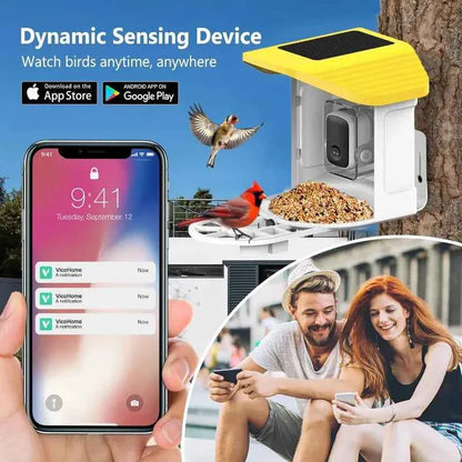 Bird Feeder AI Identify For 10000 Plus Birds Species Automatic Pet Feeder With Camera Real-time Monitor Bird Feeder With Camera