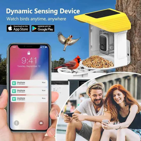 Bird Feeder AI Identify For 10000 Plus Birds Species Automatic Pet Feeder With Camera Real-time Monitor Bird Feeder With Camera