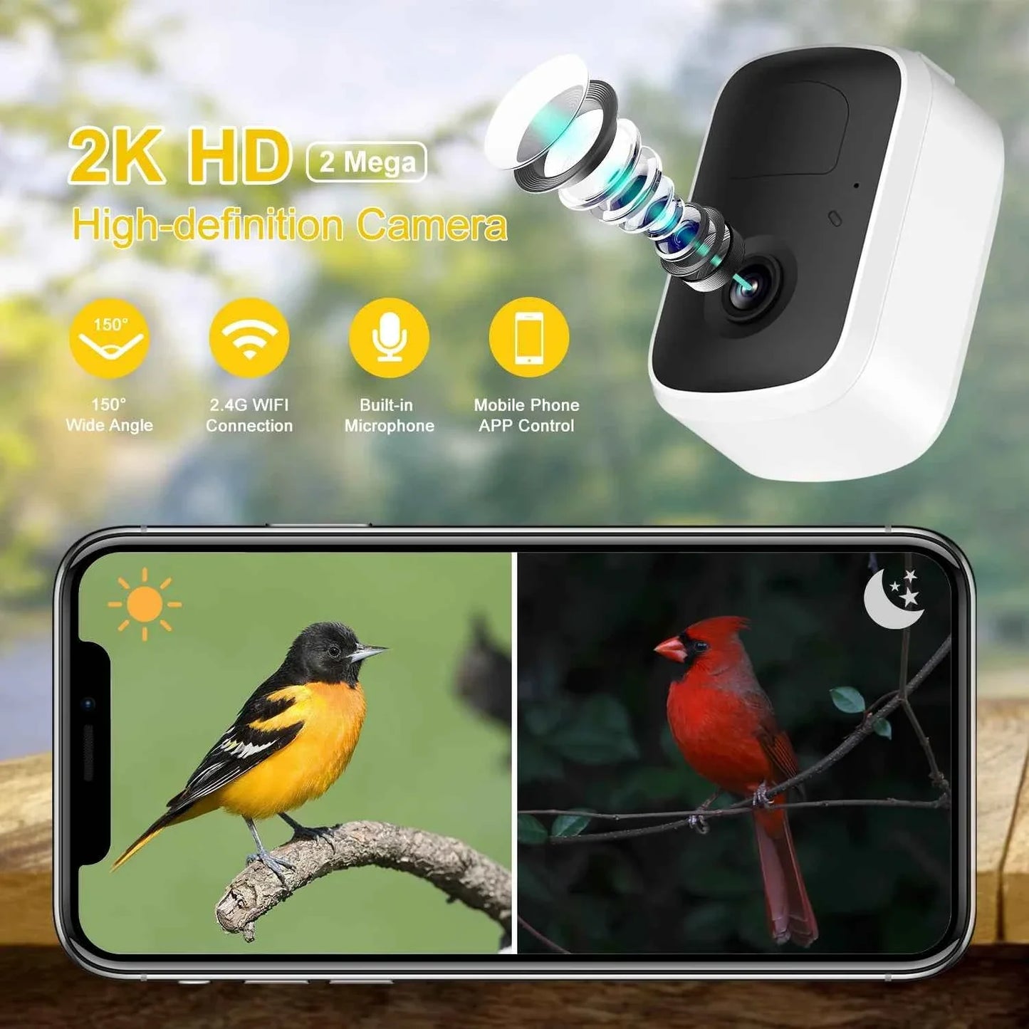 Bird Feeder AI Identify For 10000 Plus Birds Species Automatic Pet Feeder With Camera Real-time Monitor Bird Feeder With Camera