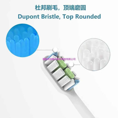 6 Pcs heads  for Lebooo LBT-203552A，LBT-203554A，LBT-203532AA, LBT203552B, LBT-203557A  LEBOOO21112 sonicare toothbrush heads