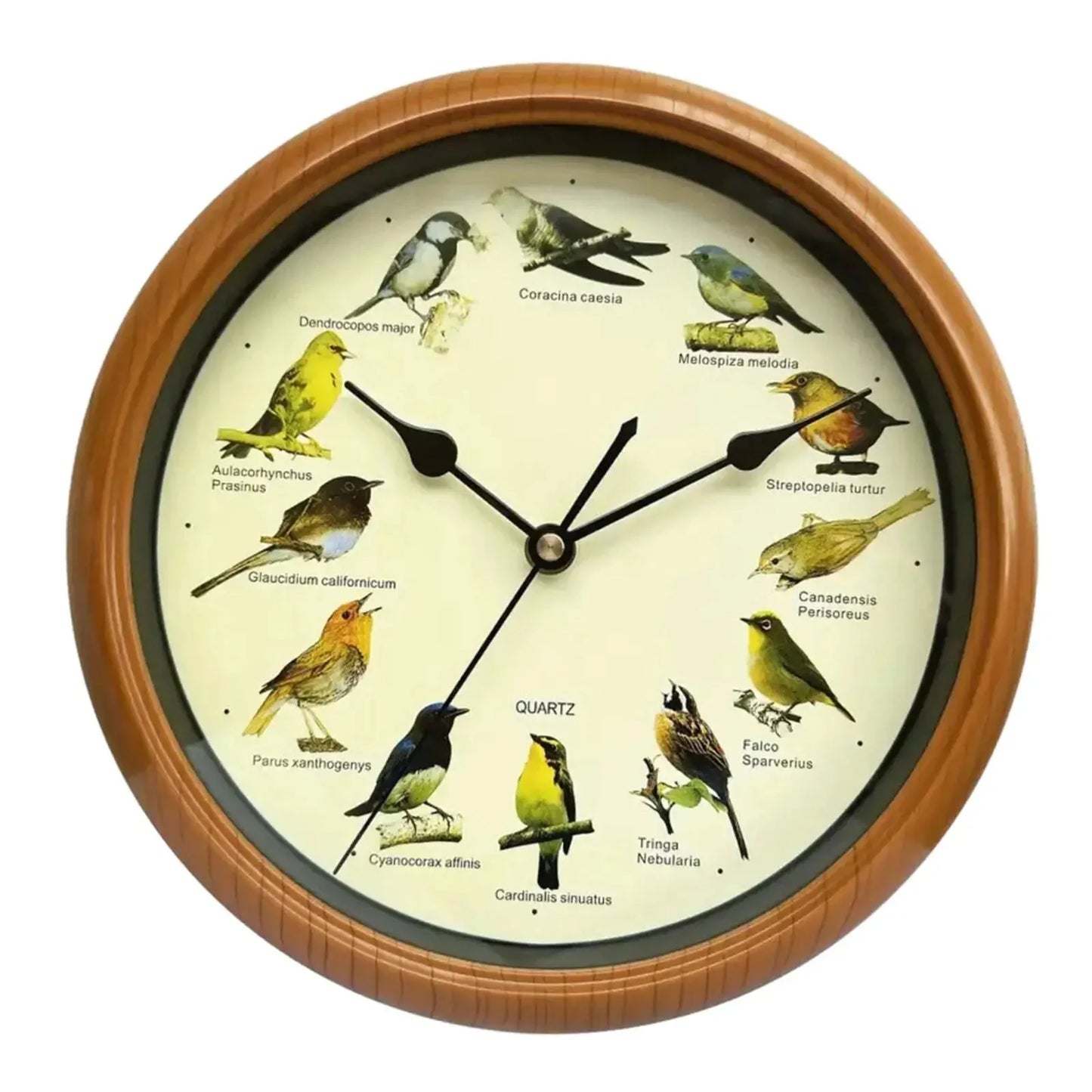 Wall Hanging Clock Decor Singing Bird Wall Clock Bird Clock With Sound Hanging Clock Decor for Kitchen Walls Shelf Decoration